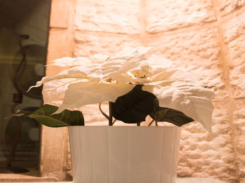 Agripas Boutique Hotel Йерусалим Екстериор снимка